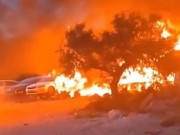مستعمرون يحرقون أراضي زراعية و"مشطب" مركبات في يتما جنوب نابلس