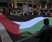 مئات الأمريكيين يشاركون في تظاهرات تدعو إلى وقف "الإبادة الجماعية" في غزة