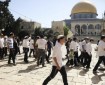 عشرات المستوطنون يقتحمون باحات المسجد الأقصى