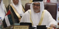 الإمارات: نتحرك في مختلف الاتجاهات ونوظف علاقاتنا لوقف تنفيذ "مخطط الضم"