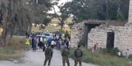  الاحتلال يمنع مزارعًا من قطف الزيتون ويخرجه عنوة من أرضه جنوب نابلس