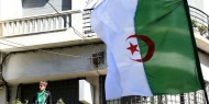 الجزائر تعلن نسبة المشاركة في الانتخابات الرئاسية
