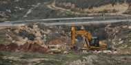 آليات الاحتلال تجرف العشرات من أشجار الزيتون شرق قلقيلية