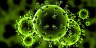الحكومة تنفي اكتشاف إصابات بفيروس كورونا في رام الله
