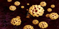الأردن: فحصنا 1500 عينة ضد فيروس كورونا ولا إصابات جديدة