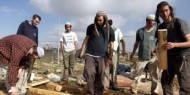 قطعان المستوطنين يعتدون على قاطفي الزيتون شرق نابلس