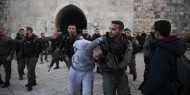 الاحتلال يعتقل شابا ويعتدي عليه بالضرب قرب المسجد الأقصى