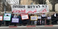 القدس: الاحتلال يقمع وقفة تضامنية مع أهالي الشيخ جراح