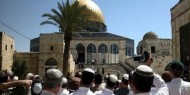 دعوات لاقتحام المسجد الأقصى في عيد «الفصح العبري»