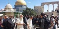 عشرات المستوطنون يقتحمون باحات المسجد الأقصى بحماية شرطة الاحتلال