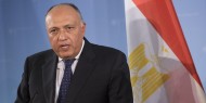 وزير الخارجية المصري: إدارة بايدن ترى "حل الدولتين" وسيلة لإنهاء الصراع