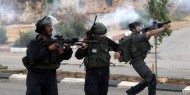 إصابة شاب برصاص جيش الاحتلال جنوب مدينة أريحا