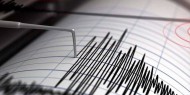 زلزال بقوة 4.6 يضرب شرق اليابان