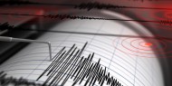 زلزال بقوة 4.1 ريختر يضرب شرق تركيا