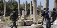 عشرات المستوطنين يقتحمون بلدة سبسطية بحماية من جيش الاحتلال