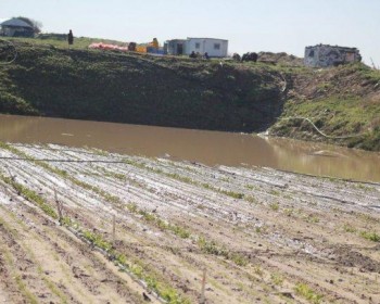 خسائر القطاع الزراعي نتيجة عدوان الاحتلال في أغسطس الماضي تجاوز مليون دولار