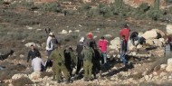 الاحتلال يعتدي على المشاركين في فعالية ضد الاستيطان جنوب الخليل