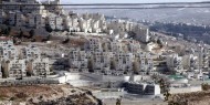 منظمة التحرير: الاحتلال بدأ عمليات بناء عمارات سكنية جديدة في الضفة