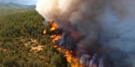 أستراليا تطالب السياح بمغادرة السواحل الجنوبية جراء حرائق الغابات