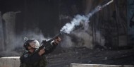 الاحتلال يستهدف بقنابل الغاز منازل المواطنين في بيت أمر شمال الخليل