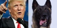 ترامب منتقداً إعلام بلاده: يعاملون "الكلب" أفضل مني