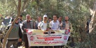 بالصور|| مجلس العمال بتيار الإصلاح يختتم فعاليات قطف الزيتون شمال غزة