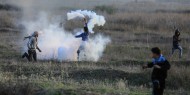 الاحتلال يهاجم المزارعين بقنابل الغاز في بيت أمر