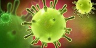 مسؤول بالصحة العالمية: تطوير لقاح لفيروس كورونا يستغرق عاما  على الأقل