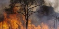 مستوطنون يضرمون النيران في أراض زراعية شرق رام الله