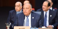 الخارجية المصرية: نرفض مخطط الضم الإسرائيلي والتدخل التركي في ليبيا