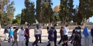 86 مستوطنا يقتحمون باحات المسجد الأقصى
