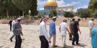 عشرات المستوطنين يدنسون باحات المسجد الأقصى