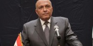 وزير الخارجية المصري: نسعى لحل سياسي للصراع في ليبيا