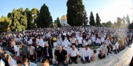 وسط اجراءات احترازية.. الآلاف يصلون الجمعة في رحاب المسجد الأقصى