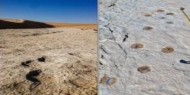السعودية: اكتشاف آثار بشرية وحيوانية عمرها 120 ألف سنة
