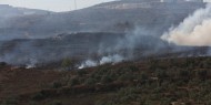 مستوطنون يحرقون عشرات أشجار الزيتون جنوب بيت لحم