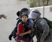 الاحتلال يعتقل طفلا وشقيقين من مسافر يطا جنوب الخليل