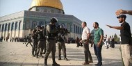 جيش الاحتلال يعتقل حارسا في  المسجد الأقصى