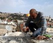 الهدمي: 20 ألف شقة سكنية في القدس مهددة بالهدم