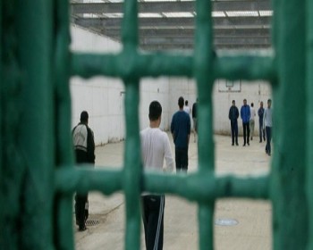 لليوم الـ11..  30 معتقلا يواصلون إضرابهم عن الطعام