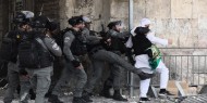 الاحتلال يعتقل 6 شبان من باب الخليل في القدس المحتلة