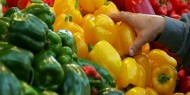 أسعار الخضروات والدواجن في أسواق غزة اليوم السبت