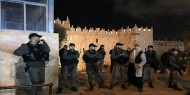 مستوطنون ينظمون مسيرة استفزازية في القدس