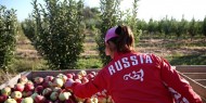 روسيا تتوقع وصول الصادرات الزراعية إلى 30 مليار دولار خلال 2021