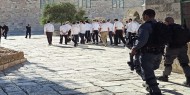 مستوطنون يقتحمون باحات "الأقصى" بحماية شرطة الاحتلال