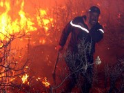 مصرع 26 شخصا في حرائق غابات شرق الجزائر