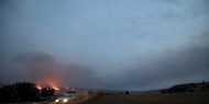 إيطاليا: 5 قتلى جراء حرائق الغابات في جنوب البلاد