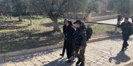 جيش الاحتلال يعتقل فتاة من بلدة عناتا في القدس