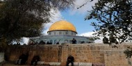 "الأزهر": زيارة فلسطين واجبة على كل مسلم