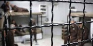 الأسير «زيود» من السيلة الحارثية يدخل عامه الـ 18 في سجون الاحتلال